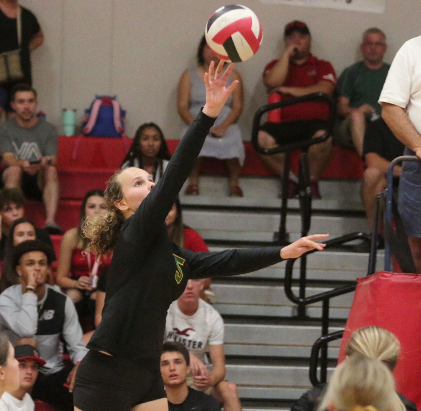 Golden Bears open season with victory over Bullpups